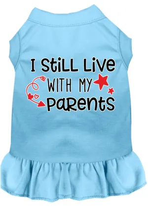 Still Live With My Parents Screen Print Dog Dress Baby Blue Xl (16)