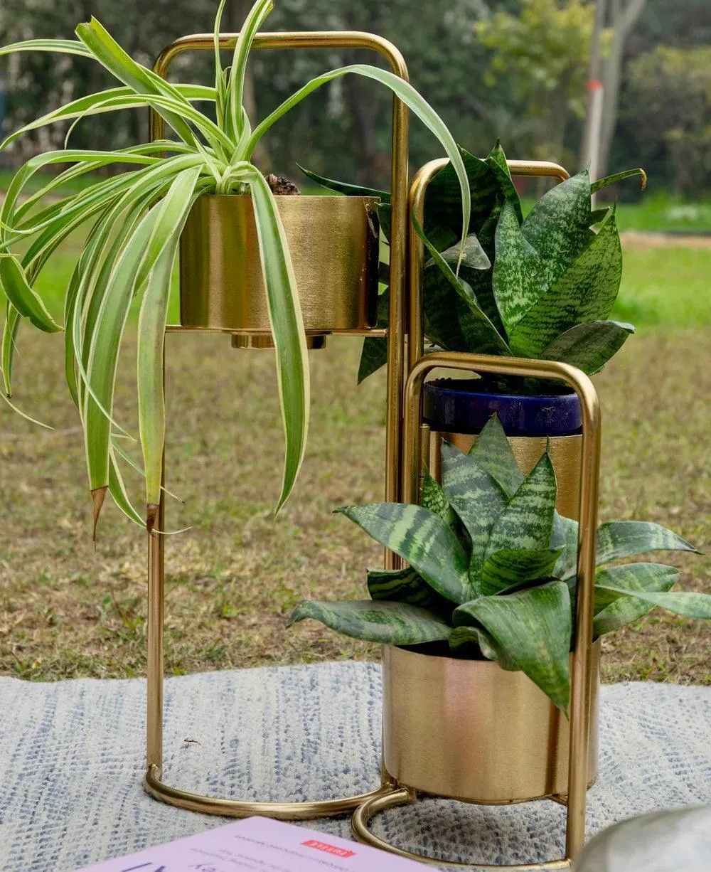 Veena Gold Foldable Planter with 3 Pots | Luxury Vase Pot