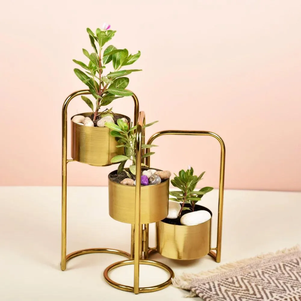 Veena Gold Foldable Planter with 3 Pots | Luxury Vase Pot